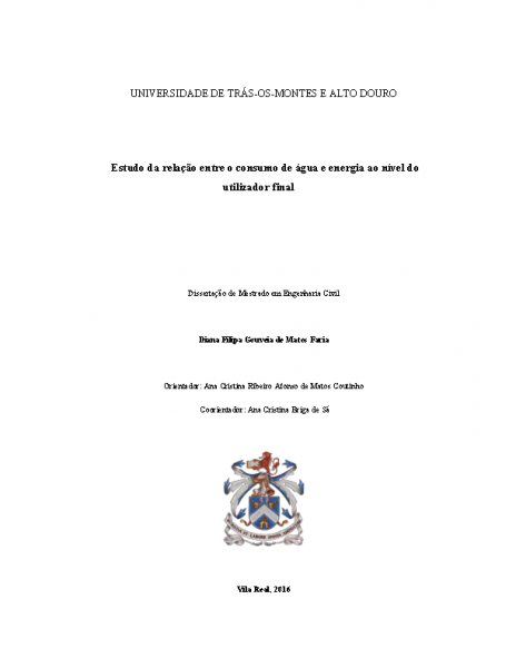 Master Thesis